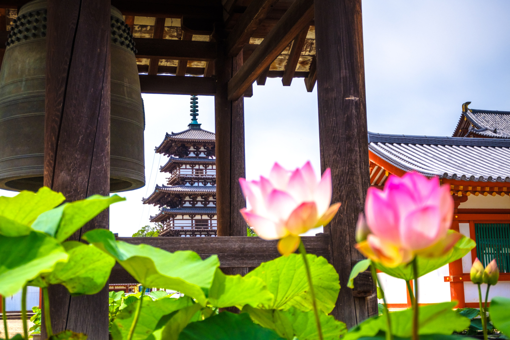 新しい東塔