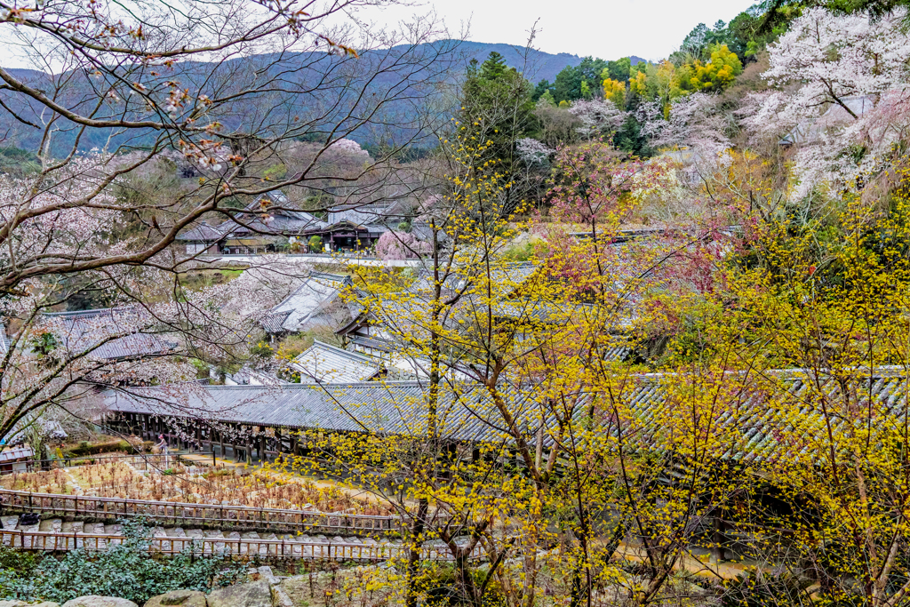 山寺の春