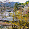 山寺の春