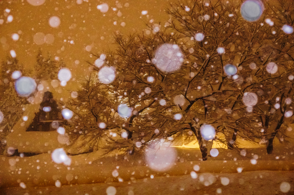 玉雪