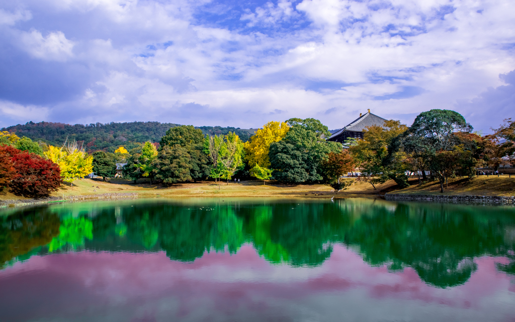 大仏池眺望