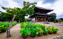 喜光寺