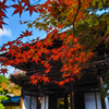 紅葉のはじまり