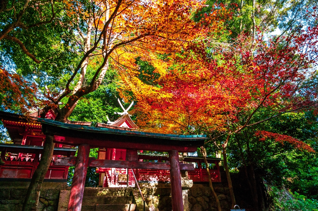 白山神社