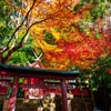 白山神社