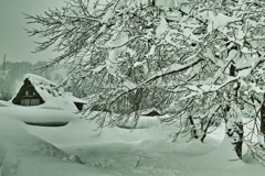 雪深く