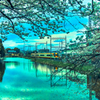 城下町を走る