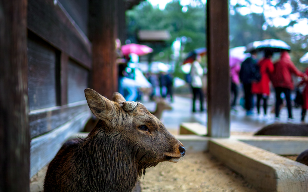 目が笑ってる？