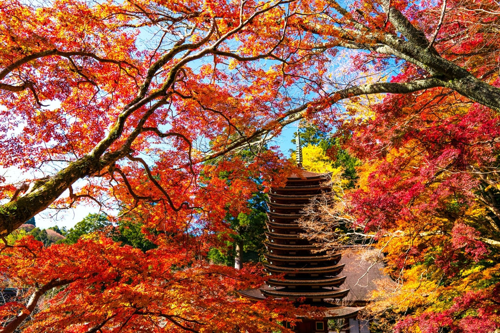 秋の談山神社