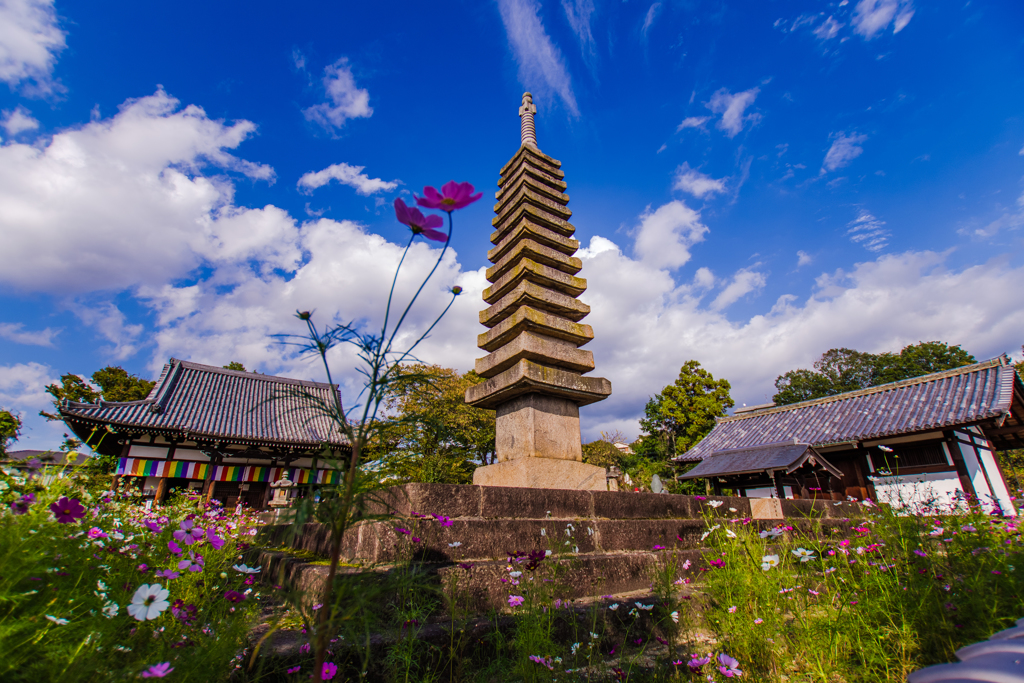 そびえる十三重石塔