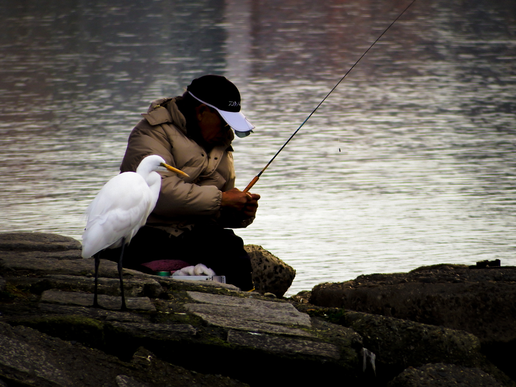 釣れるかな～？