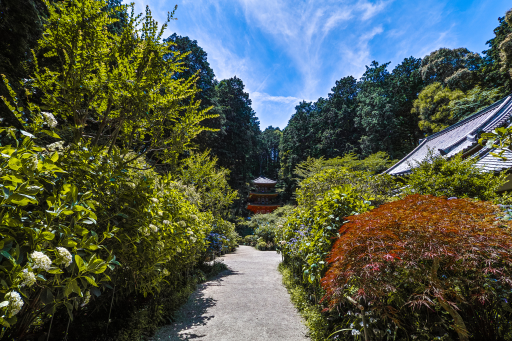 岩船寺