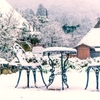 和洋雪中