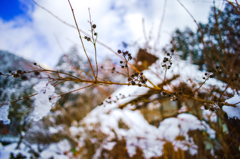 雪解けの季節