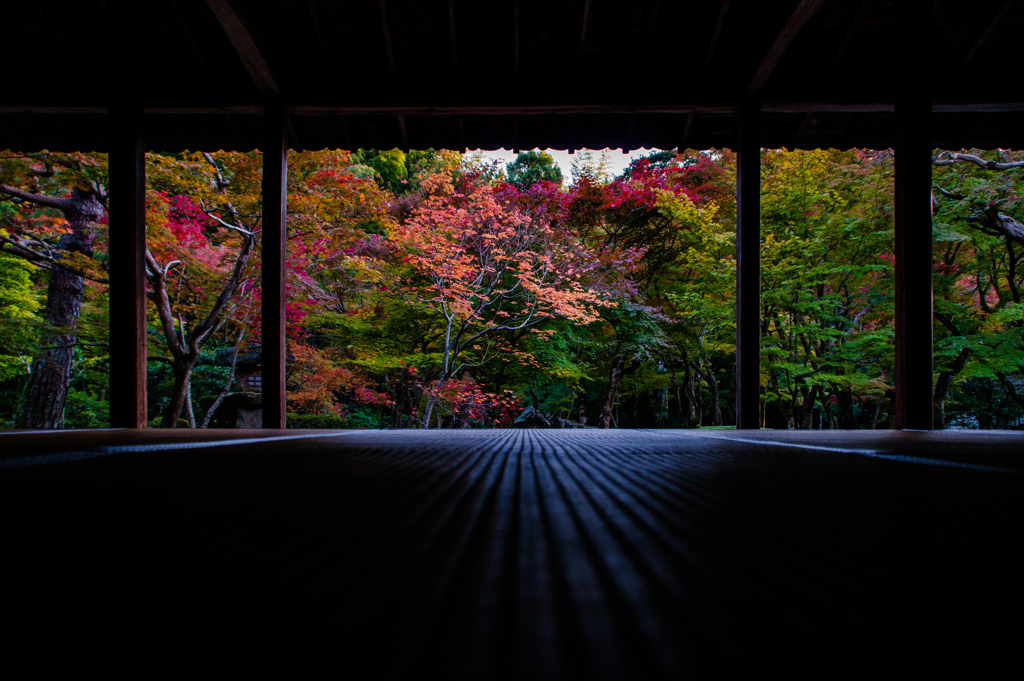 圓光寺と言えば