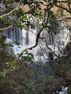 雪代の滝