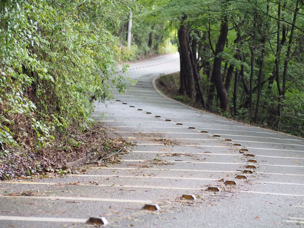 道