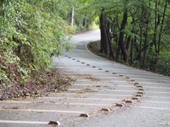 道