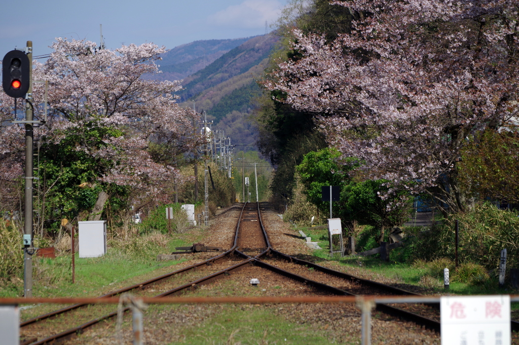 早く来ないかな