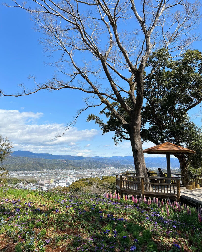 牧野植物園からの眺望