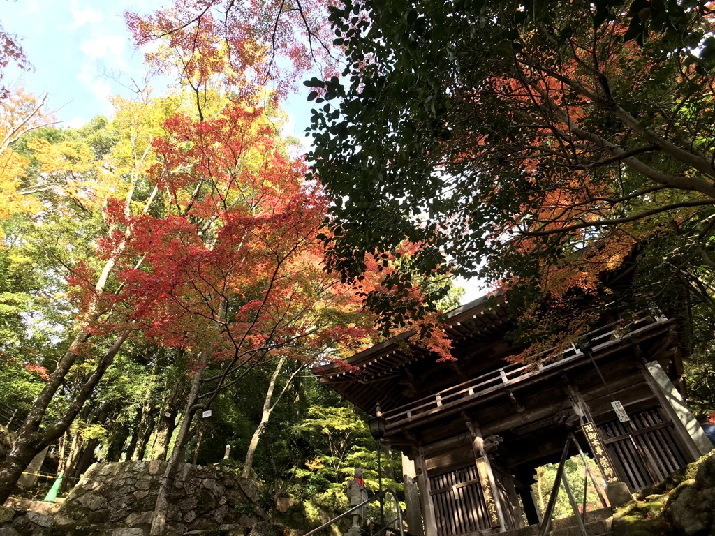 札所紅葉巡り