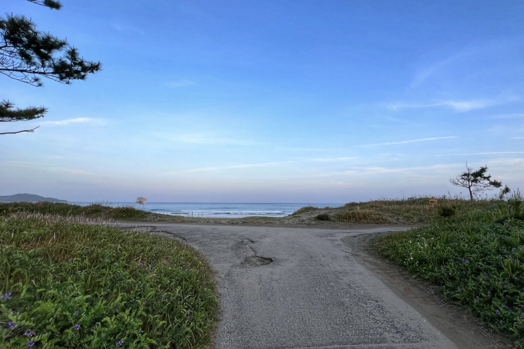 海へ寄り道