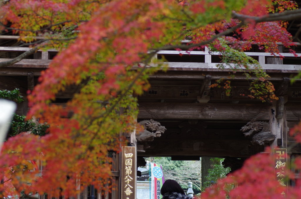 紅葉巡り、帰り際に振り向いて