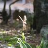 着陸いたしまーす