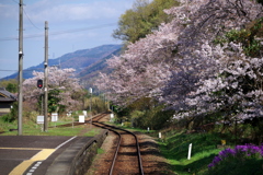 春の駅