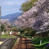 春の駅