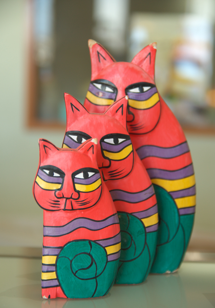 猫たち