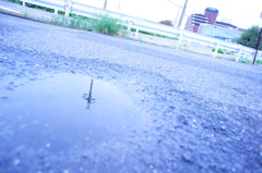 雨上がりの散歩道
