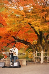 紅のギター弾き