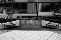 シンメトリーベンチ