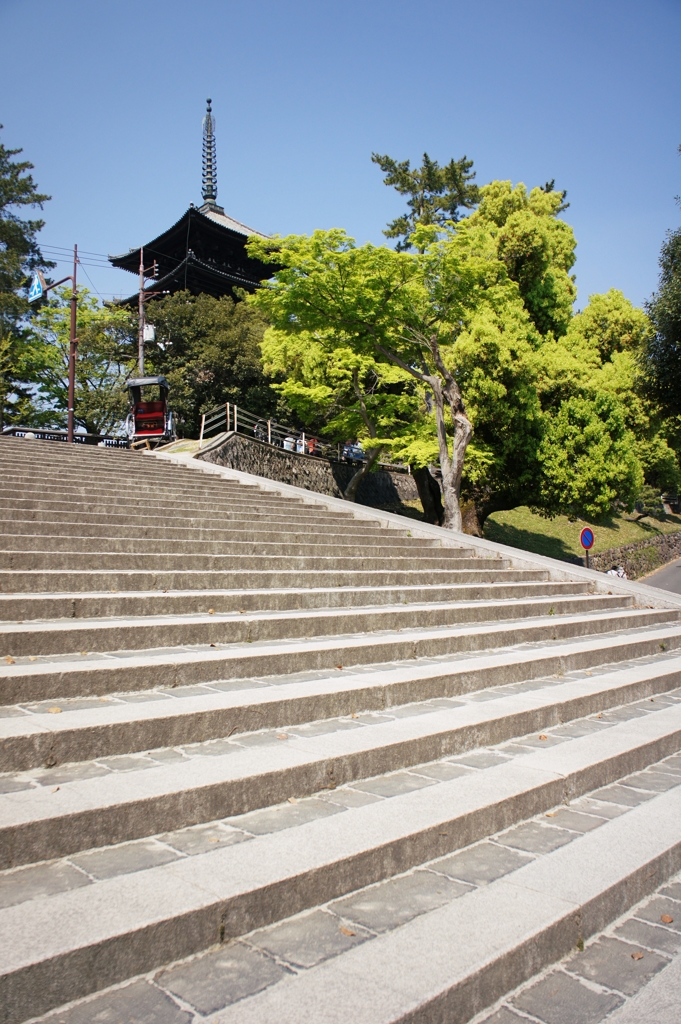 興福寺へ