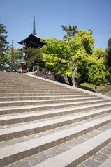 興福寺へ