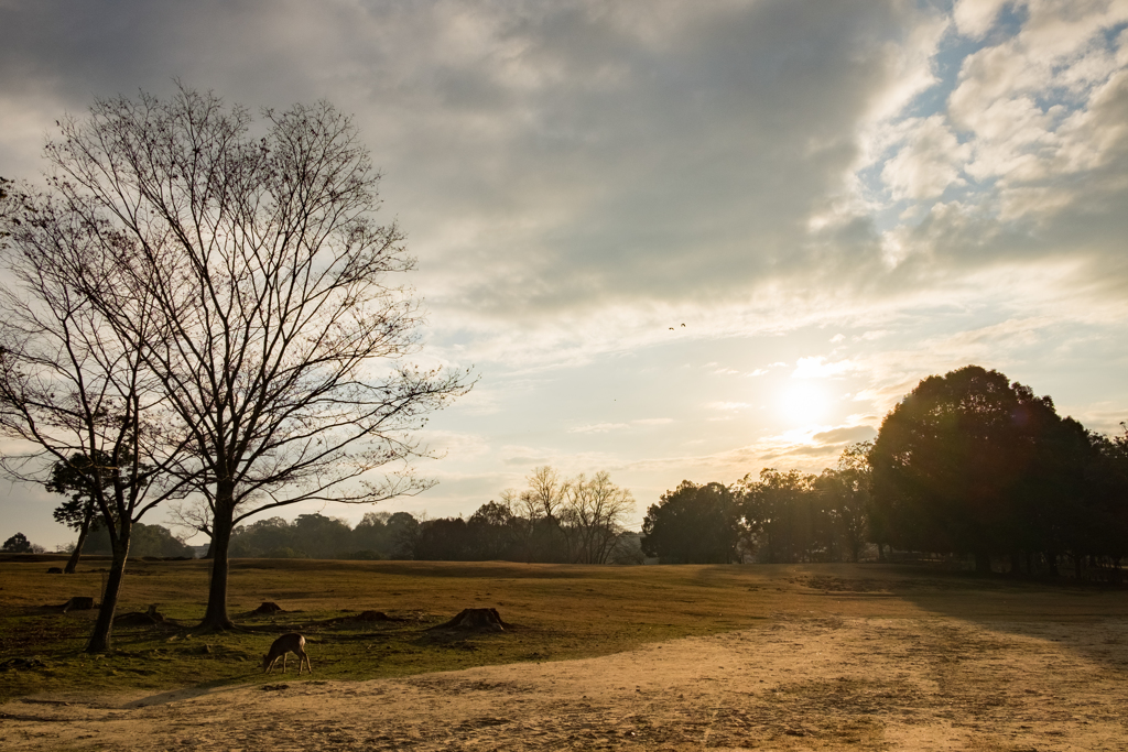 Dry sunset