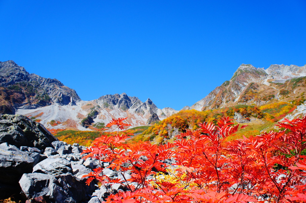紅葉