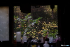 窓から秋