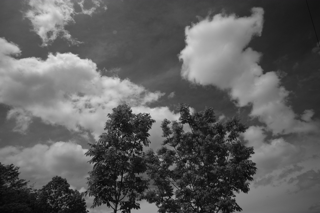 初夏の雲
