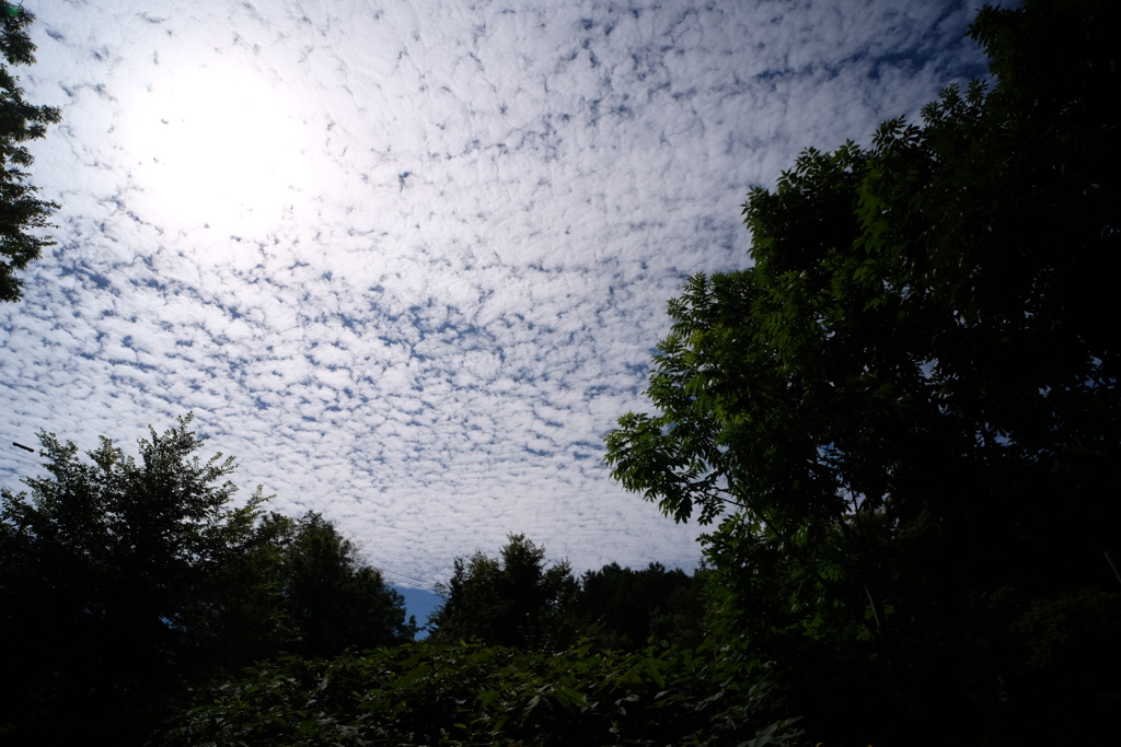 晩夏の空