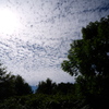 晩夏の空