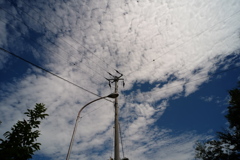初秋の雲