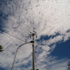 初秋の雲