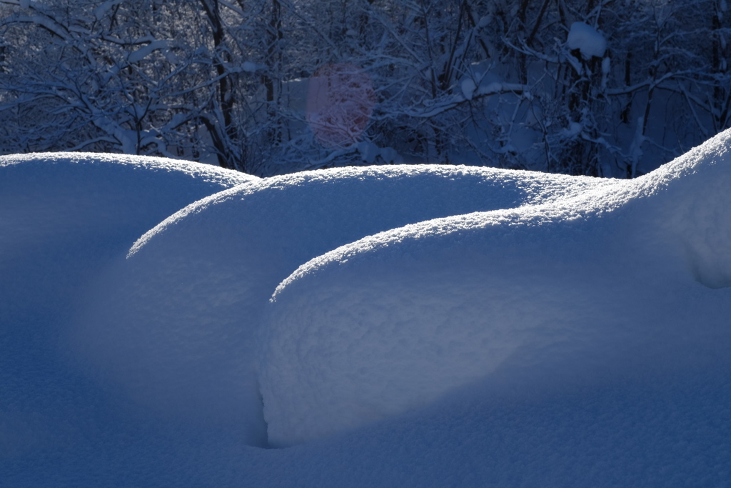 雪の紋