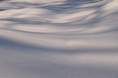 雪の原