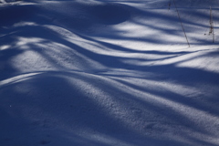 雪原の波