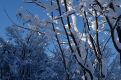 大雪の後