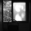 窓