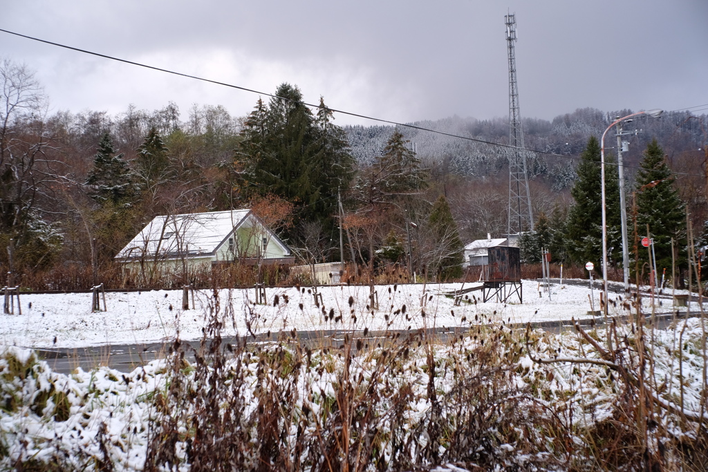 初雪